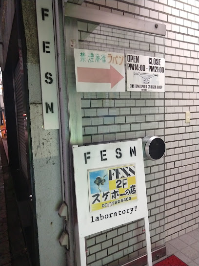 FESN Laboratory