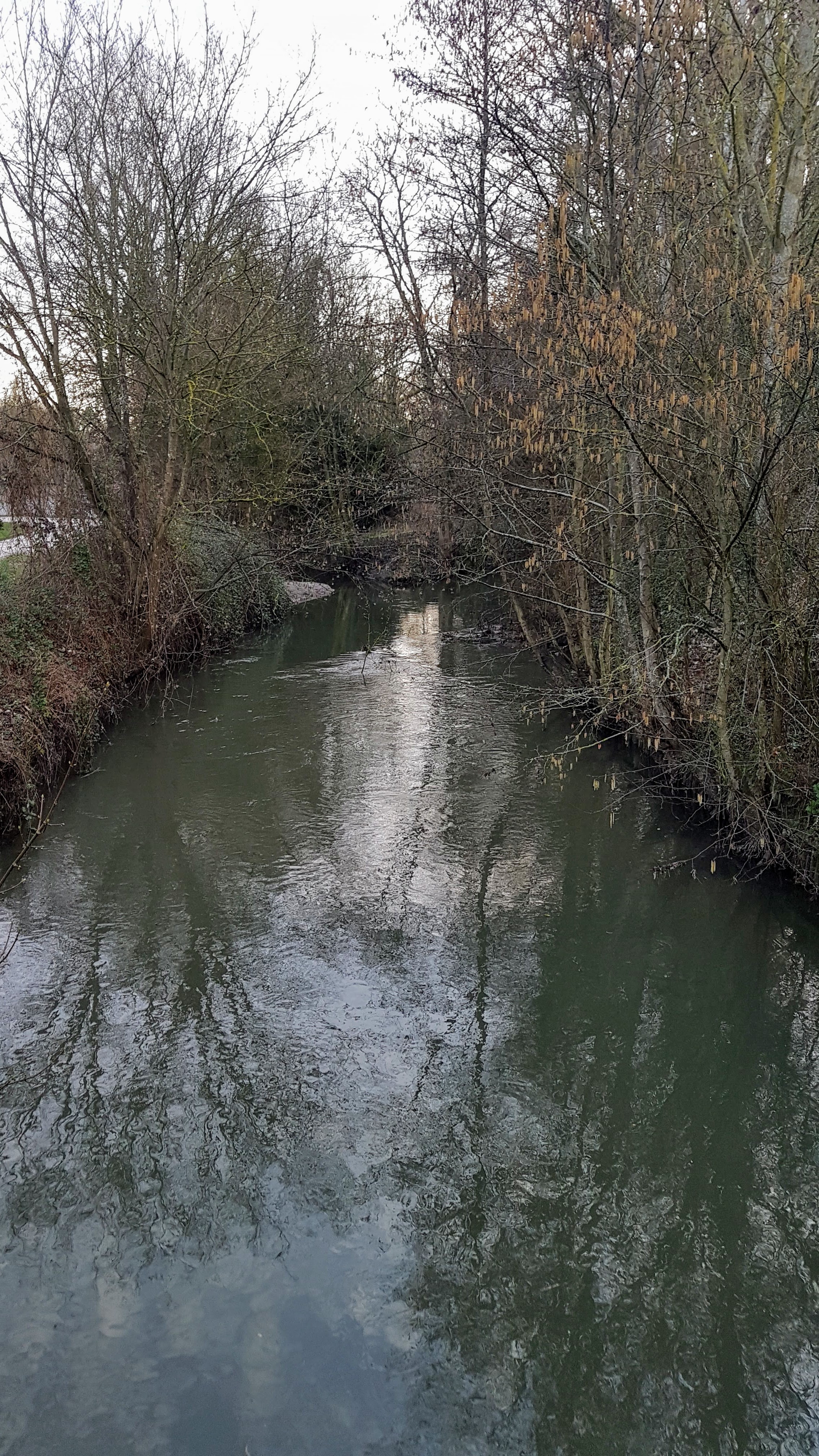 Photo n° 8 de l'avis de Jean-marie.o fait le 06/03/2019 à 12:51
