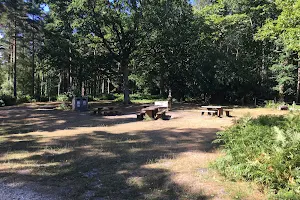 Anderwood picnic area image