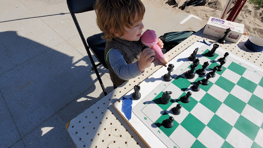 Venice Beach Knights Chess Club