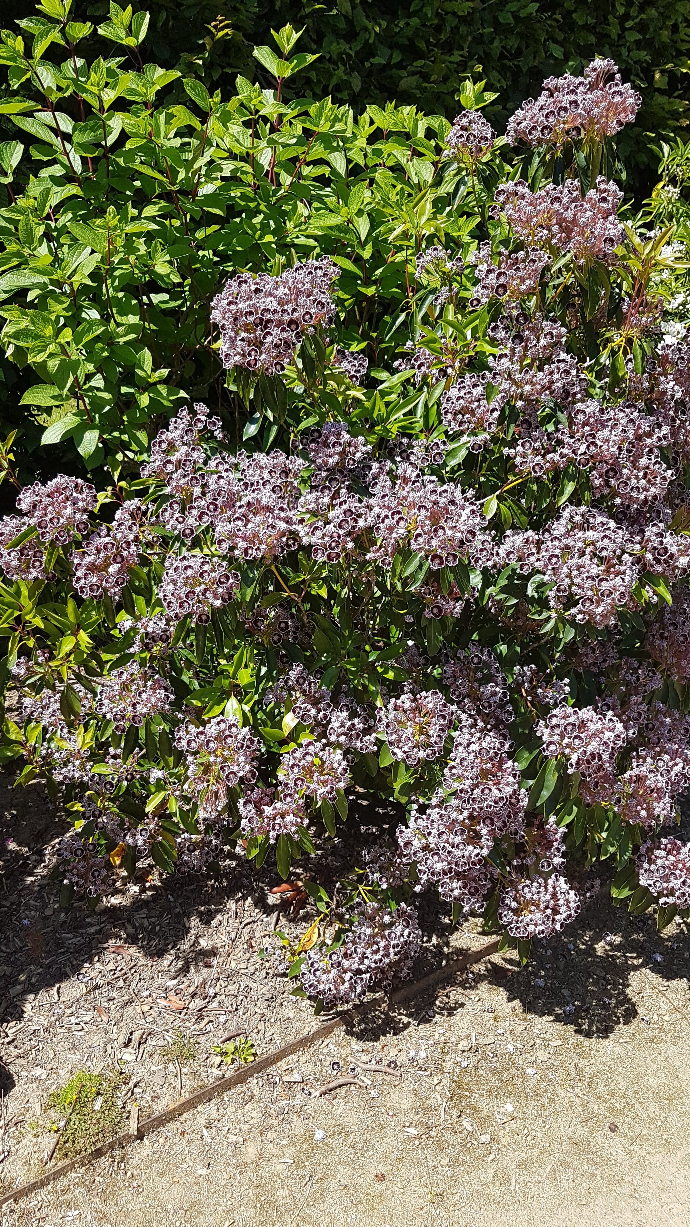 Photo n° 13 de l'avis de Daniel.r fait le 29/05/2020 à 14:41