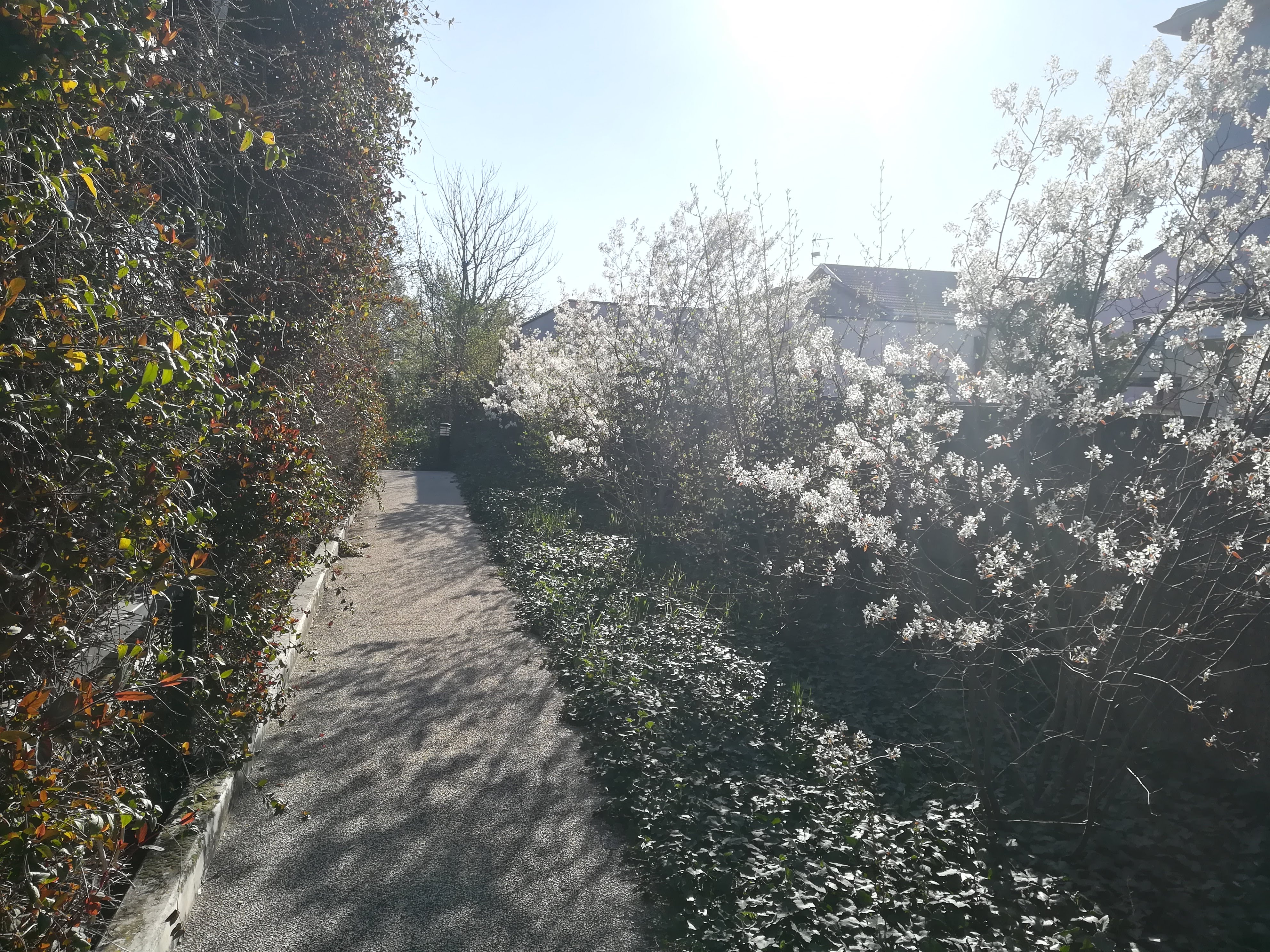 Photo n° 4 de l'avis de Nathalie.e fait le 30/04/2019 à 13:36