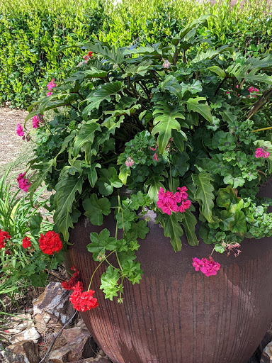 Gym «Mission Viejo Family YMCA», reviews and photos, 27341 Trabuco Cir, Mission Viejo, CA 92692, USA