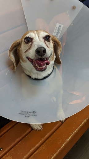 Pet Supply Store «PetSmart», reviews and photos, 24 Countryside Plaza, Countryside, IL 60525, USA