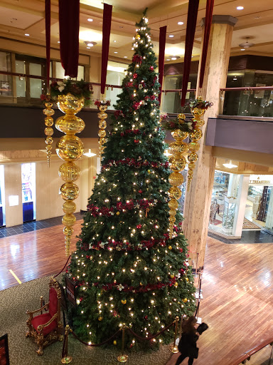 Movie Theater «AMC Mazza Gallerie», reviews and photos, 5300 Wisconsin Ave NW, Washington, DC 20015, USA