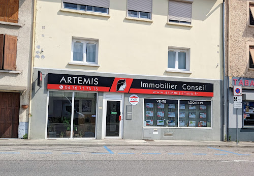 Artémis Immobilier Conseil à Goncelin