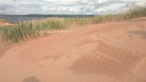 Tourist Attraction «Dune Climb», reviews and photos, 6748 S Dune Hwy, Glen Arbor, MI 49636, USA