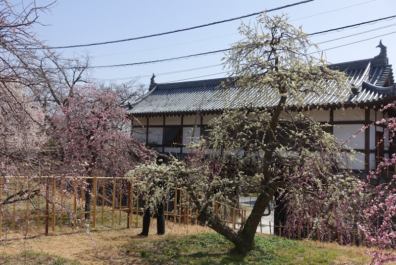 郡山城跡公園