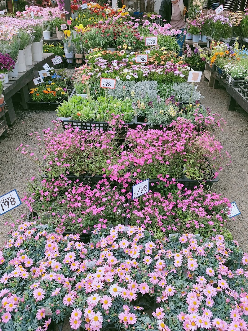 Lily Garden 千葉県市原市西五所 花屋 花 グルコミ