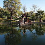 Photo n°1 de l'avis de Profi-Fotograf.a fait le 03/06/2018 à 18:50 sur le  Restaurante Quinta da Dança à Castelo Branco