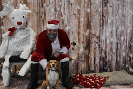 Pet Supply Store «Thomaston Feed of Cheshire», reviews and photos, 851 S Main St, Cheshire, CT 06410, USA