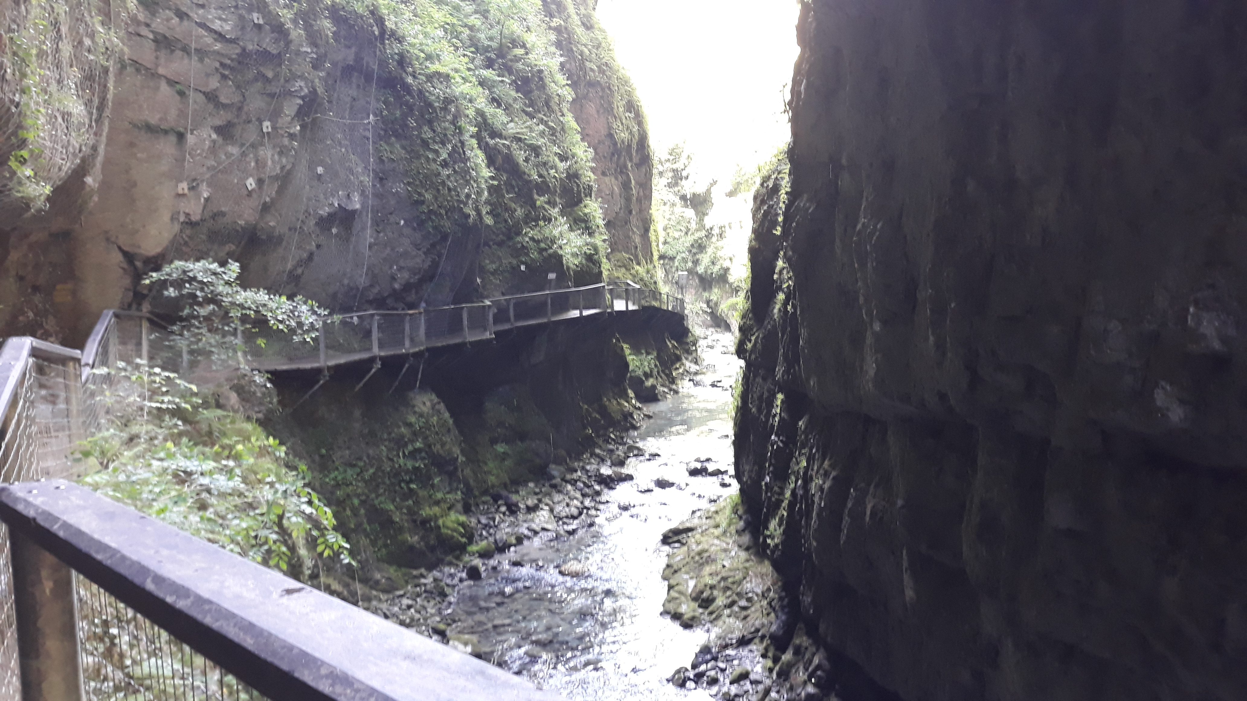 Photo n° 3 de l'avis de Billaud.i fait le 01/07/2019 à 06:22