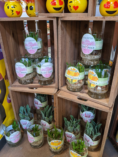 Grocery Store «Kroger Marketplace», reviews and photos, 500 Marketplace Blvd, Forney, TX 75126, USA