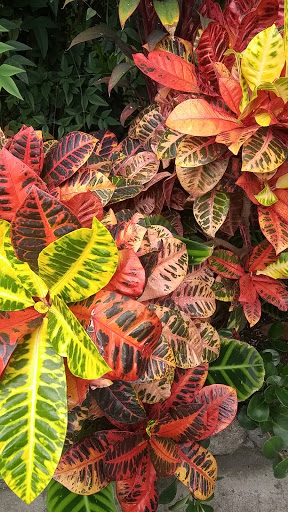 Aquarium «Belle Isle Aquarium», reviews and photos, 900 Inselruhe Ave, Detroit, MI 48207, USA