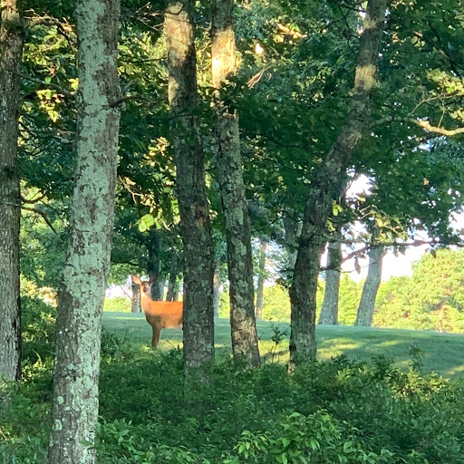 Golf Shop «Eagle Rock Golf Clubhouse & Pro Shop», reviews and photos, 191 Turnberry Ln, Hazle Township, PA 18202, USA