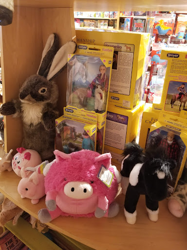 Toy Store «Treehouse Toys Ltd», reviews and photos, 47 Exchange St, Portland, ME 04101, USA