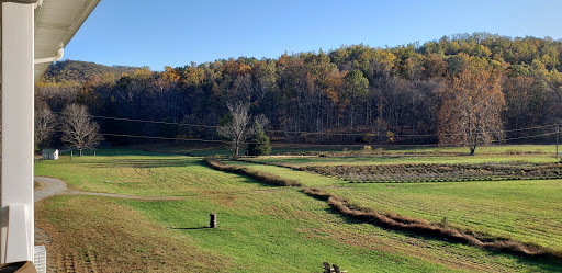 Winery «Loving Cup Vineyard & Winery», reviews and photos, 3340 Sutherland Rd, North Garden, VA 22959, USA