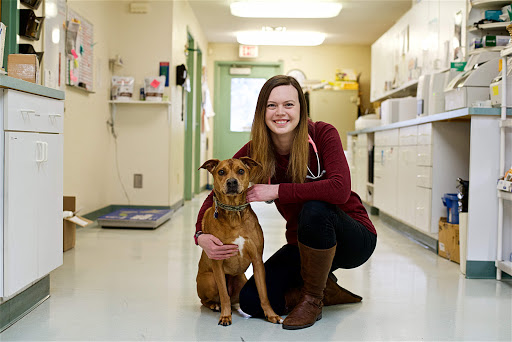 Alpine Veterinary Hospital image