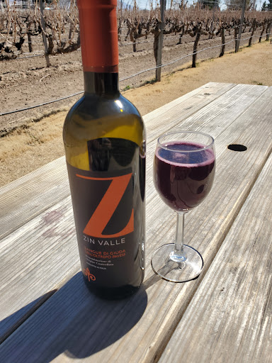 Winery «Zin Valle Vineyards», reviews and photos, 7315 Canutillo-La Union Rd, Canutillo, TX 79835, USA