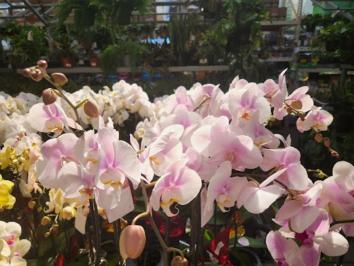 Home Improvement Store «The Home Depot», reviews and photos, 111 Shoreline Pkwy, San Rafael, CA 94901, USA