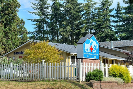 Eastside Veterinary Associates - Kirkland