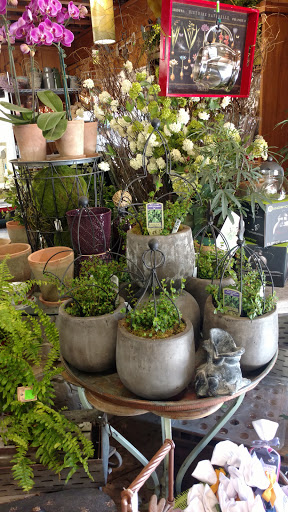 Garden Center «Copia Home and Garden», reviews and photos, 475 Smith Ridge Rd, South Salem, NY 10590, USA