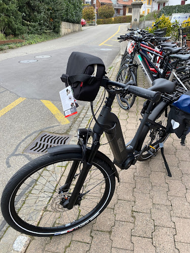 Kewa Rad AG dein Partner für E-Bikes, Fahrräder, Mountainbike, Rennvelos, Kindervelos, Mofas in der Region Surbtal-Aaretal - Fahrradgeschäft