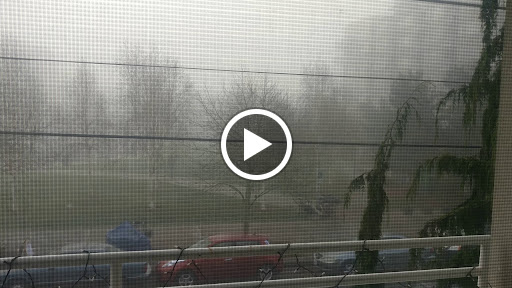 Park «Ballard Commons Park», reviews and photos, 5701 22nd Ave NW, Seattle, WA 98107, USA