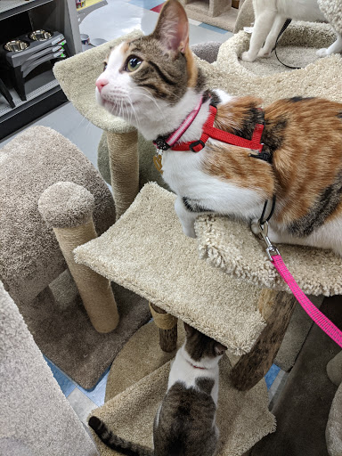Pet Supply Store «Mad Cat Pet Supplies», reviews and photos, 7820 Mineral Point Rd, Madison, WI 53717, USA