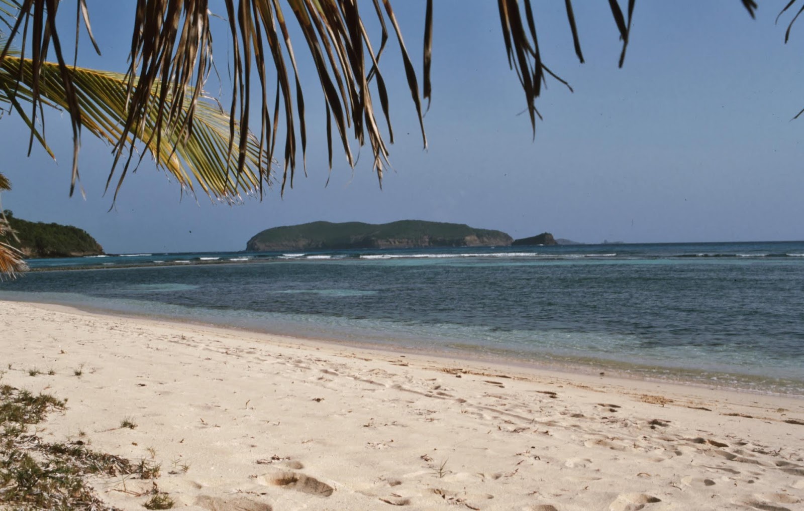 Photo de Macaroni beach avec l'eau cristalline de surface