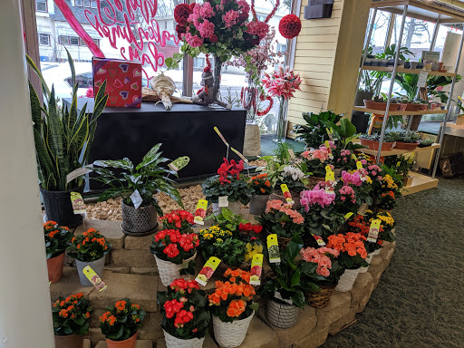 Florist «A Johnson & Sons Florist», reviews and photos, 1738 Grand Ave, St Paul, MN 55105, USA