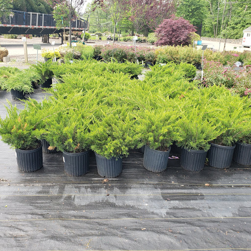 Landscaping supply store Stamford