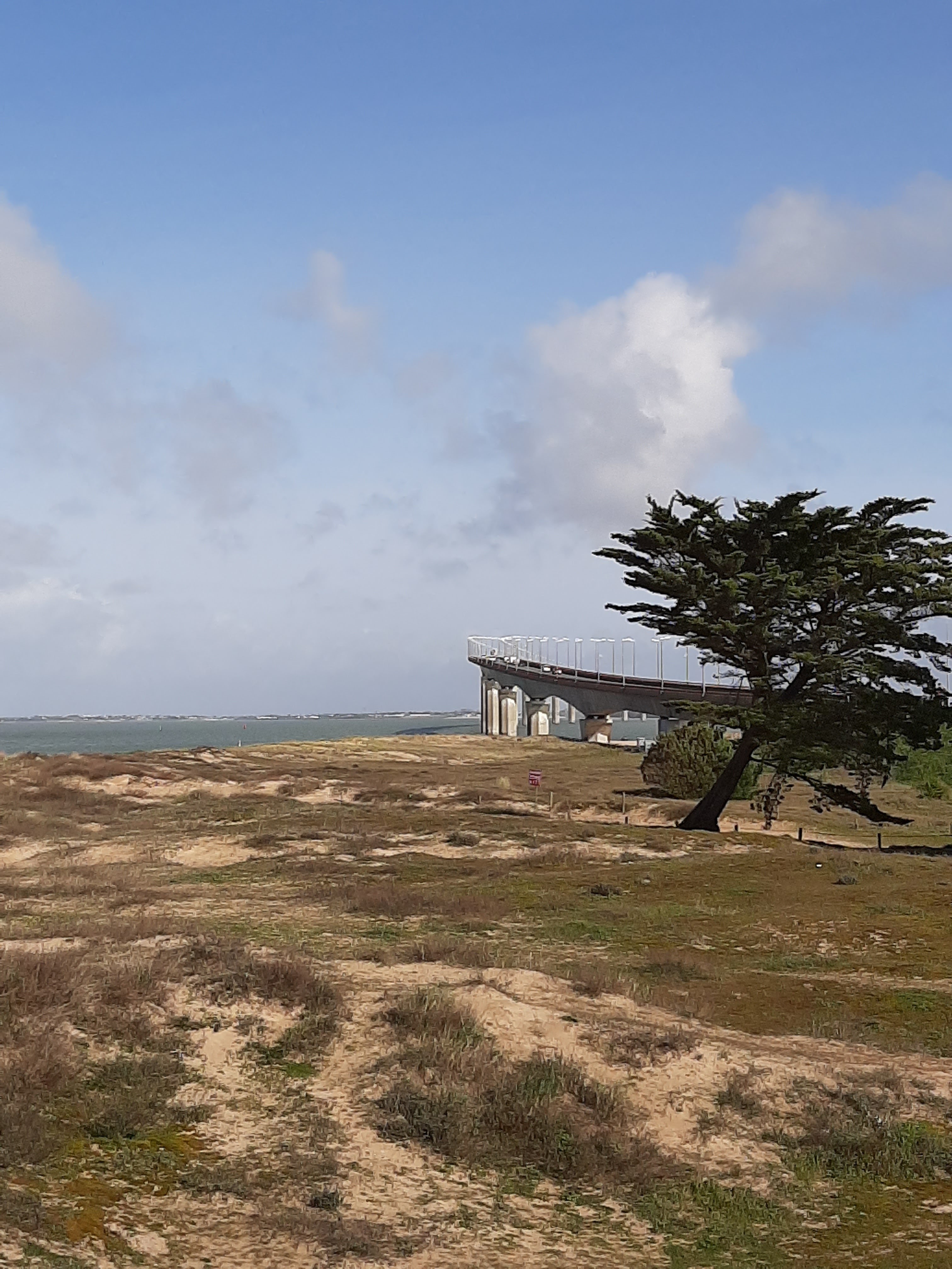 Photo n° 4 de l'avis de Celine.E fait le 19/02/2020 à 19:02