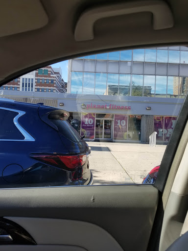 Gym «Planet Fitness», reviews and photos, 100 Hamilton Plaza, Paterson, NJ 07505, USA