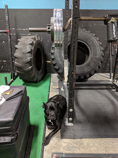 Gym «Hybrid Strength», reviews and photos, 345 Central Ave d, Bohemia, NY 11716, USA