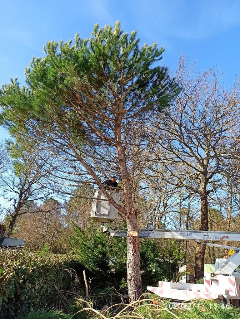 Photo n° 3 de l'avis de Jean-Louis. fait le 17/02/2023 à 18:50
