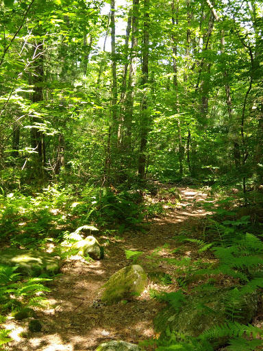 Museum «Harry C Barnes Memorial Nature Center», reviews and photos, 175 Shrub Rd, Bristol, CT 06010, USA