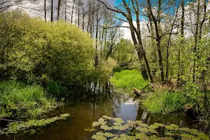 Tegeler Fließtal image