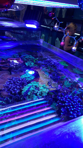 Pet Store «Creative Aquariums of Tampa», reviews and photos, 150 S Dale Mabry Hwy, Tampa, FL 33609, USA