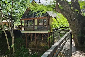 River Road Treehouses image