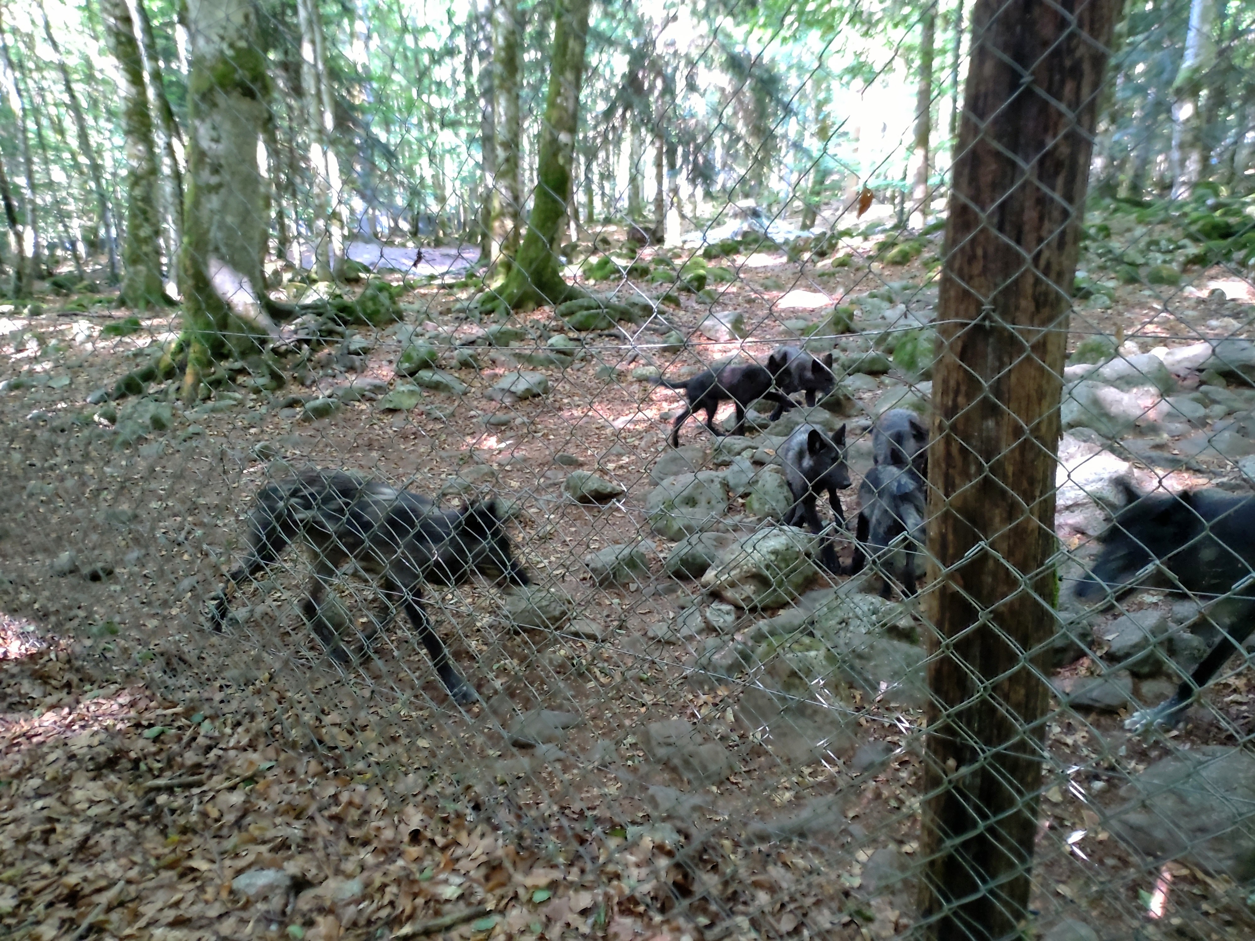 Photo n° 8 de l'avis de Christine.u fait le 11/08/2022 à 10:08