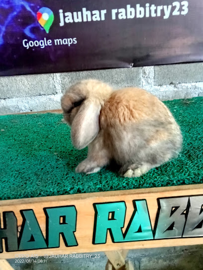 jauhar rabbitry