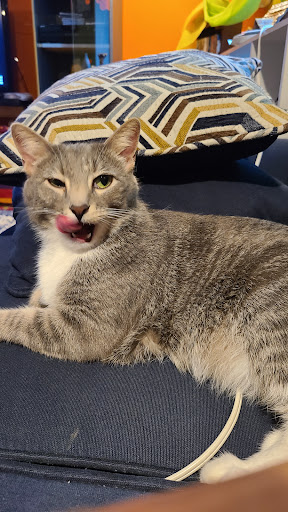 Home Improvement Store «The Home Depot», reviews and photos, 100 Barrington Rd, Schaumburg, IL 60194, USA