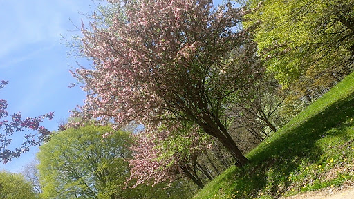 Park «East Palestine City Park», reviews and photos