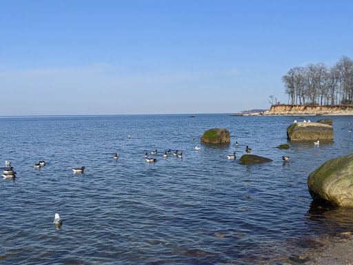 Park «Caumsett State Park», reviews and photos, 25 Lloyd Harbor Rd, Lloyd Harbor, NY 11743, USA
