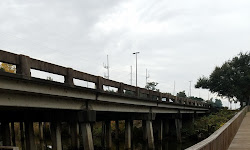 Gator Boardwalk