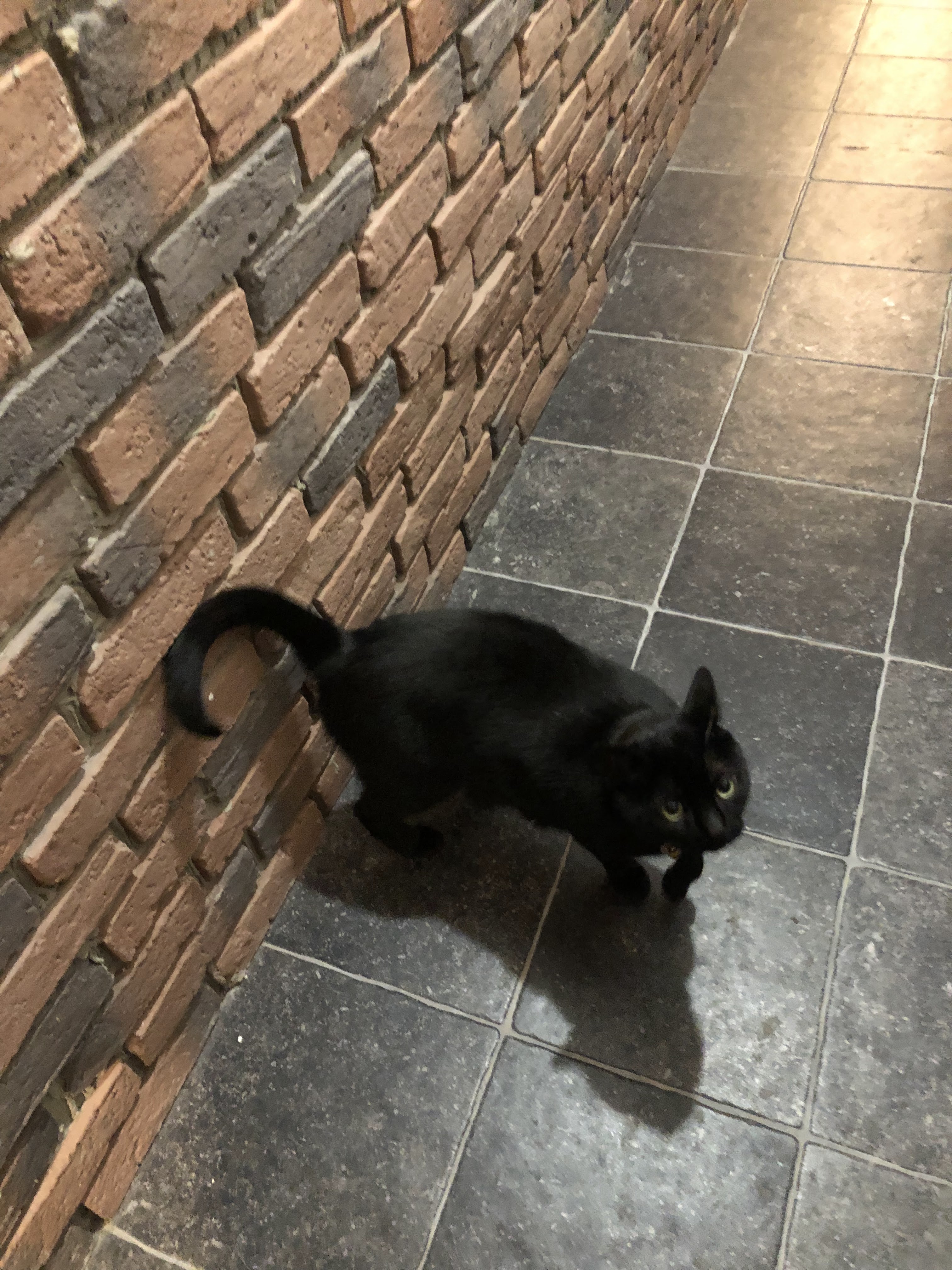 Photo n° 5 de l'avis de Alaeddine.o fait le 09/10/2021 à 19:31