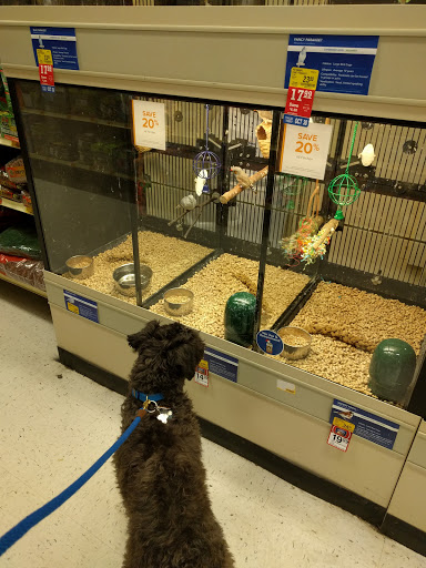 Pet Supply Store «PetSmart», reviews and photos, 5 Mystic View Rd, Everett, MA 02149, USA