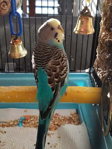 Pet Supply Store «Pet World», reviews and photos, 6527 Centralia Rd, Chesterfield, VA 23832, USA