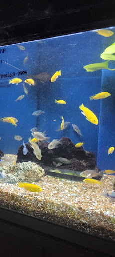 Pet Store «Olathe Pet Shop», reviews and photos, 16651 151st St, Olathe, KS 66062, USA